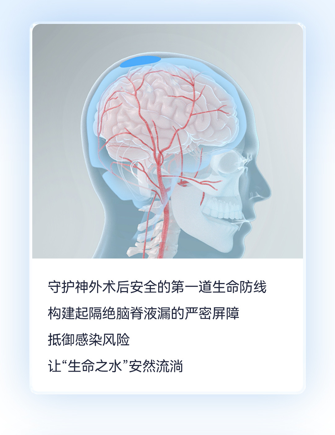 產(chǎn)品推文_腦膜_03.jpg