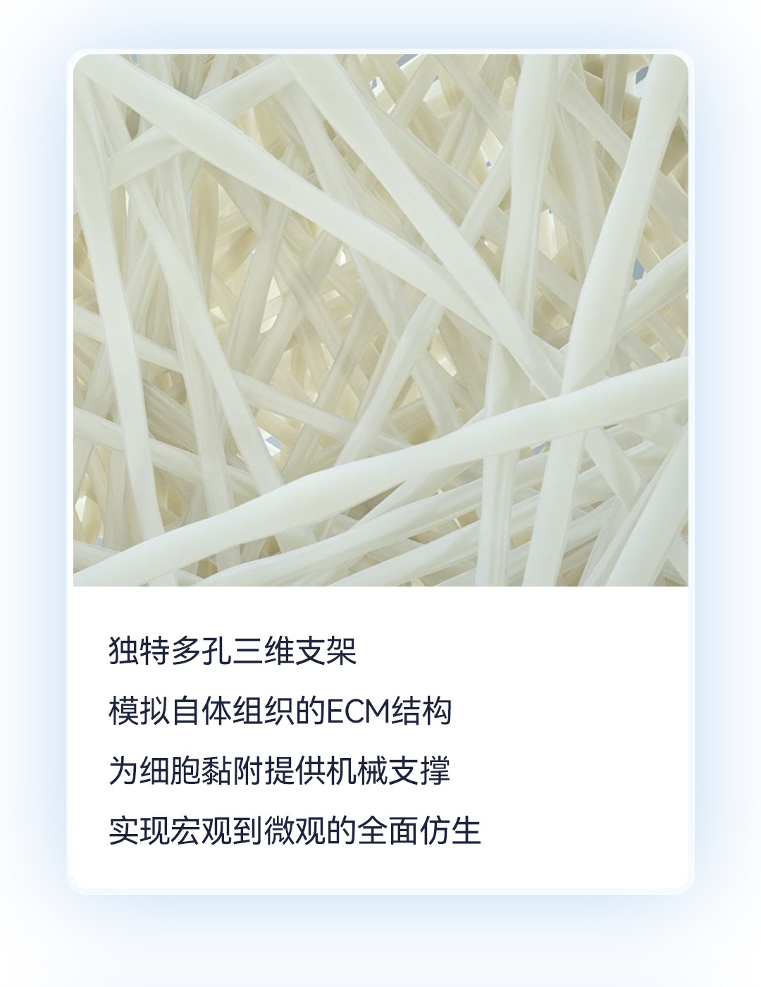 產(chǎn)品推文_腦膜_04.jpg