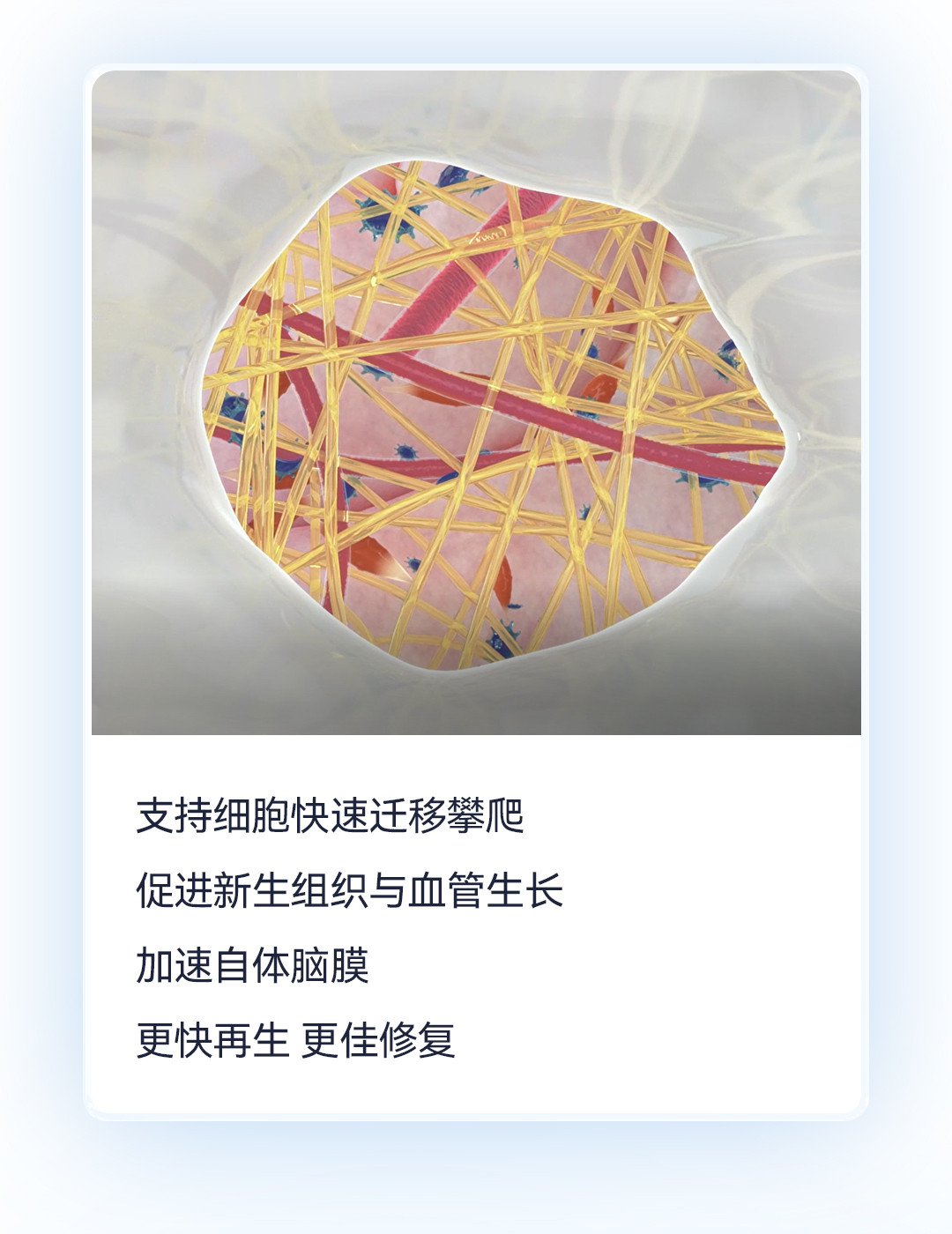 產(chǎn)品推文_腦膜_08.jpg