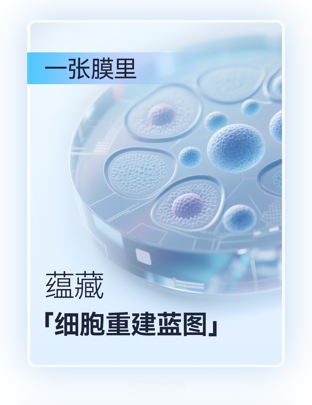 產(chǎn)品推文_腦膜_04-1_副本.jpg