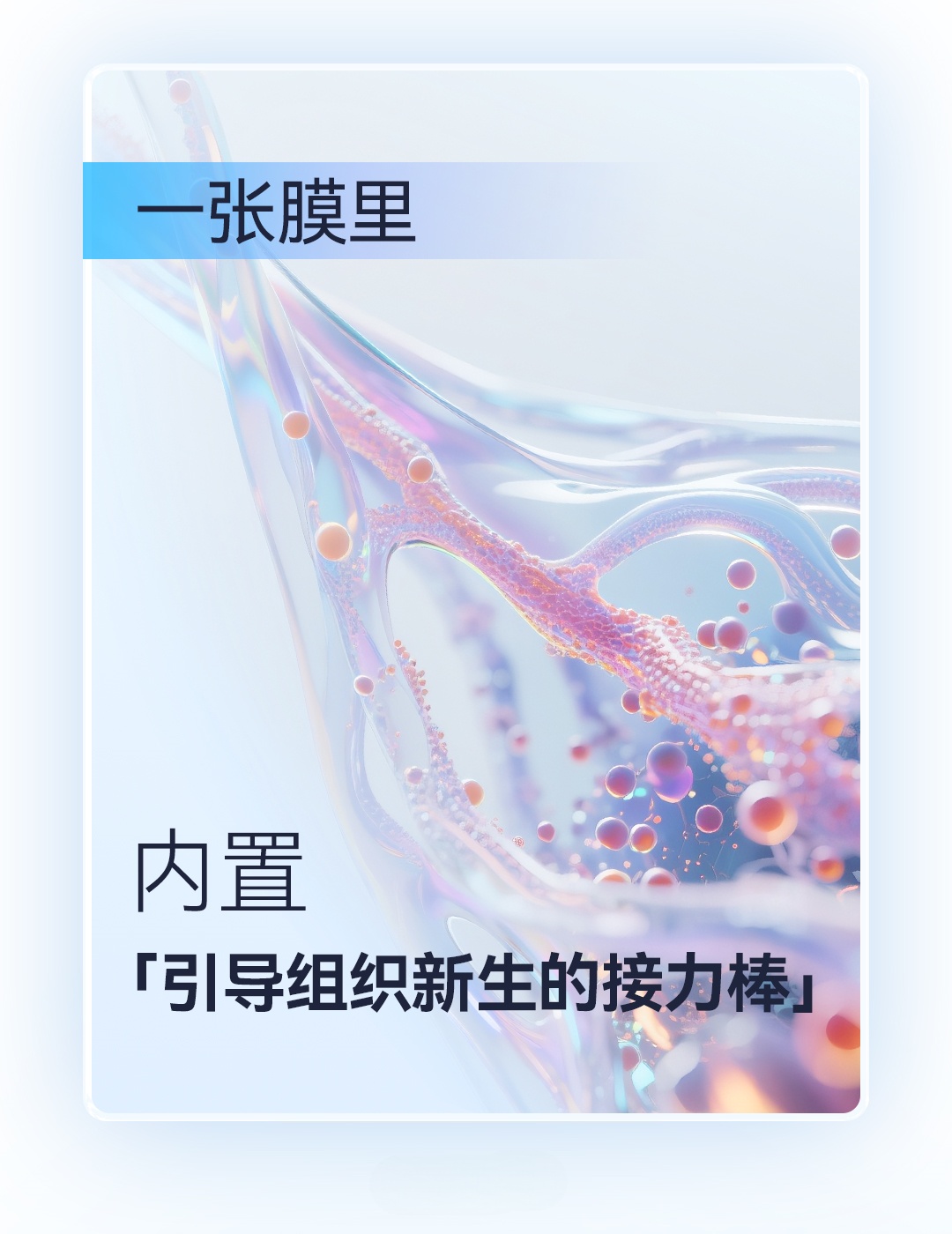 產(chǎn)品推文_腦膜_08-1_副本.jpg